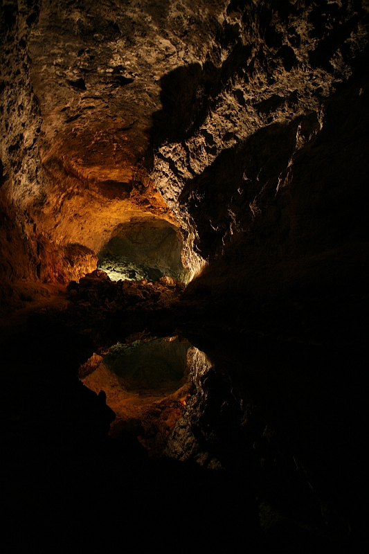 Kanary_2010 346